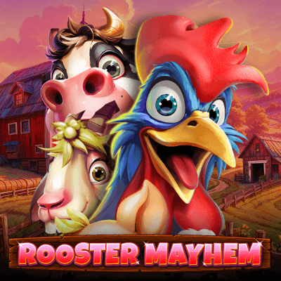 Rooster Mayhem