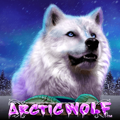 Arctic Wolf