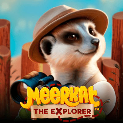 Meerkat, the explorer