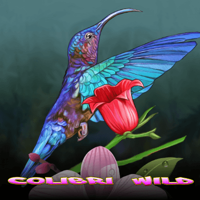 Colibri Wild