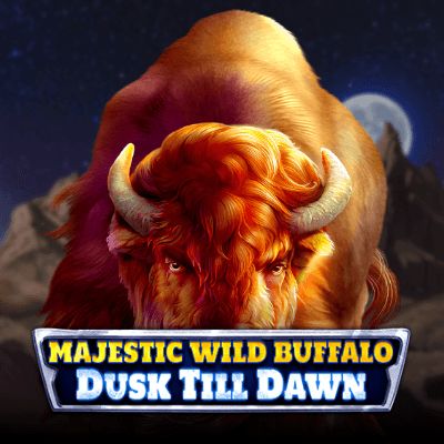 Majestic Wild Buffalo: Dusk Till Dawn
