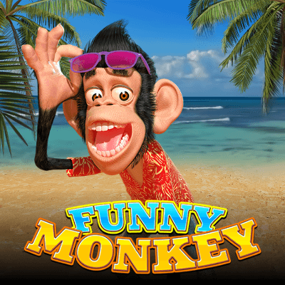 Funny Monkey