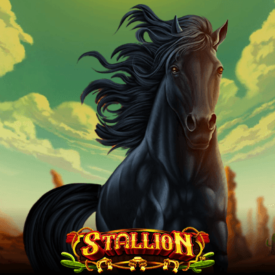 Mustang Run Stallion