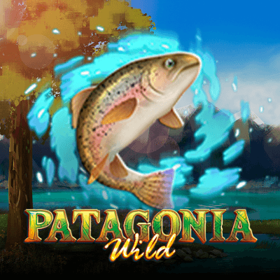 Patagonia Wilds